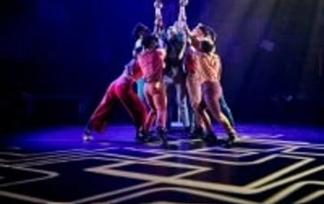 Zip Zap Circus : Moya