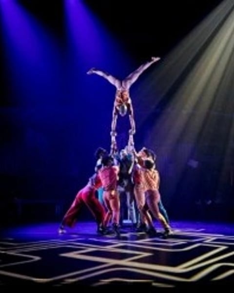 Zip Zap Circus : Moya