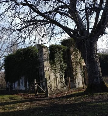 Sur les traces de l'enfance du Duc de Sully