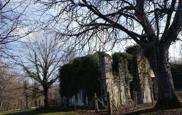Sur les traces de l'enfance du Duc de Sully