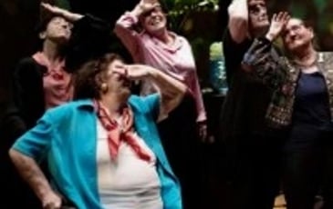 La Vie Secrète des Vieux