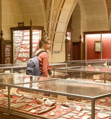 Visite guidée de la collection Edouard Piette