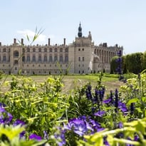 Visite guidée « Un château et un jardin remarquables »