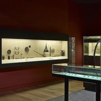 Visite flash "Catastrophes chez les Gaulois"