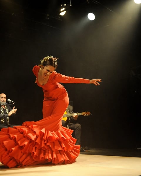 Raices