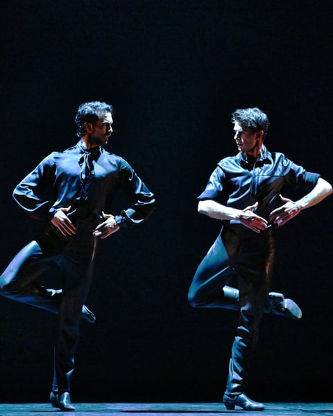 Entrez dans la danse