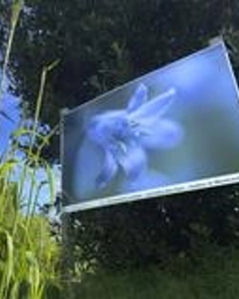 La nature du Vexin par ses talents photographiques