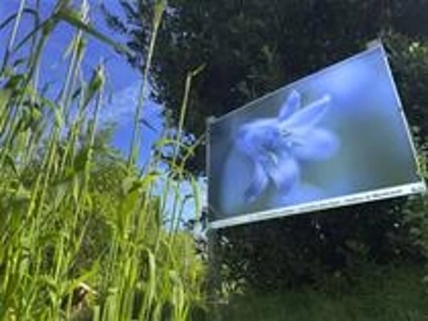 La nature du Vexin par ses talents photographiques