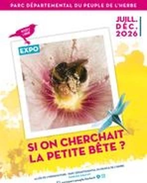 Et si on cherchait la petite bête ?