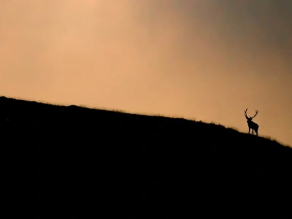 Sur la Route des saisons