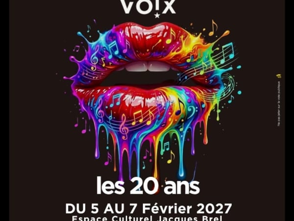 Il était une voix