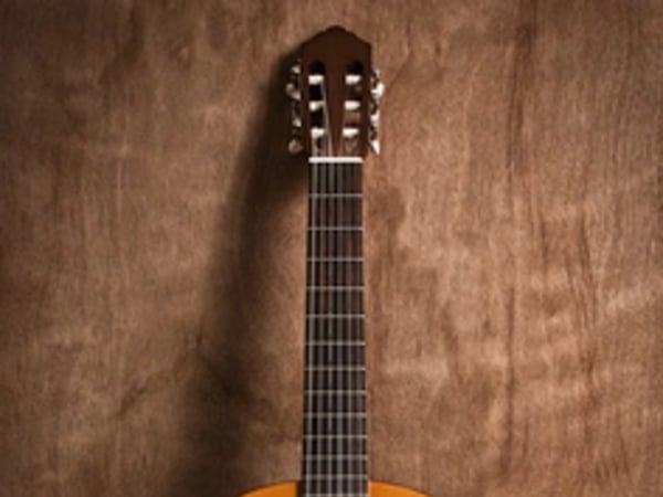 Servanne et Yvon, harpe et guitare